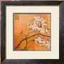 Oriental Blossoms I by Jennifer Hammond Limited Edition Pricing Art Print