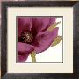 Grandiflora Blush I by Linda Wood Limited Edition Pricing Art Print