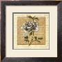 White Rose Square by Julie Ueland Limited Edition Pricing Art Print