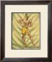 Drummer by Gill Limited Edition Print