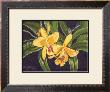 Vibrant Orchid I by Gloria J. Callahan Limited Edition Print