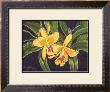 Vibrant Orchid I by Gloria J. Callahan Limited Edition Print