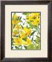 Yellow Border Beauty by Martha Collins Limited Edition Pricing Art Print