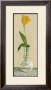 Orange Flower In Vase by David Col Limited Edition Pricing Art Print