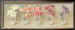 Sweet Pea Palette by Danhui Nai Limited Edition Pricing Art Print