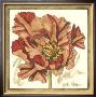 Tulip Study V by Jennifer Goldberger Limited Edition Pricing Art Print