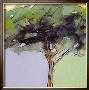 Three Trees Ii by Tomas Burgos Limited Edition Print