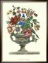 Flowers In An Urn I by Giovanni Battista Piranesi Limited Edition Print