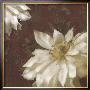 Royal Clematis Ii by Janel Pahl Limited Edition Print