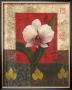 White Chinese Orchid by T. C. Chiu Limited Edition Print