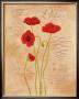 Poppy Fresco I by Adam Guan Limited Edition Print