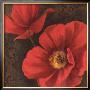 Rouge Poppies Ii by Jordan Gray Limited Edition Print