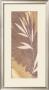 Palm Leaf I by Cara Jones Limited Edition Pricing Art Print
