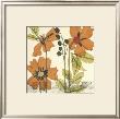 Botanical Composition Iii by Jennifer Goldberger Limited Edition Pricing Art Print