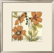 Botanical Composition Iii by Jennifer Goldberger Limited Edition Print