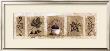 Figues, Olives Et Lavandes by Veronique Didier-Laurent Limited Edition Print