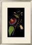 Exotic Beauty Iii by Jaggu Prasad Limited Edition Print