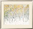 Quaking Aspens by Shelley Lake Limited Edition Pricing Art Print