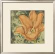 Ethereal Tulips I by Jennifer Goldberger Limited Edition Print