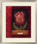 Red Tulip by Herve Libaud Limited Edition Print