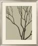 Bare Tree I by Norman Wyatt Jr. Limited Edition Pricing Art Print