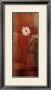 Crimson Chic Ii by Carol Robinson Limited Edition Print
