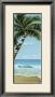 Palm Break by Pete Tillack Limited Edition Pricing Art Print