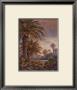 Misty Palms I by James Lee Limited Edition Print