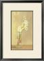 White Flower In Vase by David Col Limited Edition Print