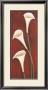 Calla Lilies On Red by Maria Girardi Limited Edition Pricing Art Print