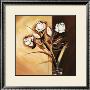 Split Flowers Roses by Alfred Gockel Limited Edition Print