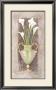Calla Lilies In Bloom by Carolyn Bucha Limited Edition Pricing Art Print