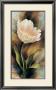 One Tulip by Igor Levashov Limited Edition Print