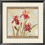 Iris Tapestry I by Asia Jensen Limited Edition Print