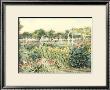 Old Time Flower Gardens Ii by Deborah Bookman Limited Edition Pricing Art Print
