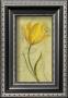 Yellow Flower by Julio Sierra Limited Edition Print