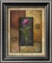 Violet Tulip by Michael Marcon Limited Edition Pricing Art Print