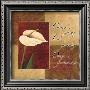 Calla Lily, Cherish Live Dream by Maria Girardi Limited Edition Print