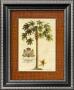 Papaya Palm by Georg Dionysius Ehret Limited Edition Pricing Art Print