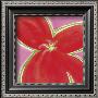 Red Flower With Pink Background by Miriam Bedia Limited Edition Print