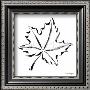 Maple Leaf by Paul Desny Limited Edition Print