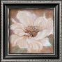 Oriental Petals Ii by Su Yue Lee Limited Edition Pricing Art Print