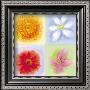 Four Flower Panel by Anthony Morrow Limited Edition Pricing Art Print