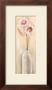 Lustrous Amaryllis by Anna Gardner Limited Edition Pricing Art Print