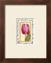 Mini Flower Ii by Charlene Winter Olson Limited Edition Pricing Art Print
