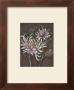 Luminous Chrysanthemums by Mandy Boursicot Limited Edition Print