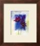 Anemones by Franz Heigl Limited Edition Pricing Art Print