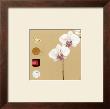 Orchid by Gore & Reader Limited Edition Pricing Art Print
