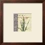 Gladiolus Ii by Paula Scaletta Limited Edition Pricing Art Print
