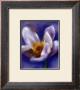 Flower by Anthony Morrow Limited Edition Print